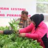 Launching Penguatan Program Pekarangan Pangan Lestari, Polres Pekalongan Tanam Sayur dan Budidaya Ikan