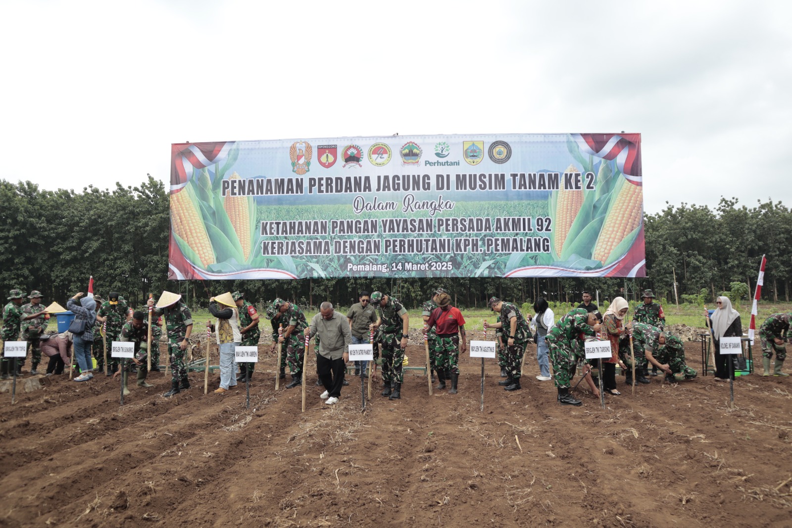 Wujudkan Ketahanan Pangan, Yayasan Persada Akmil 92 Tanam Jagung di Pemalang 