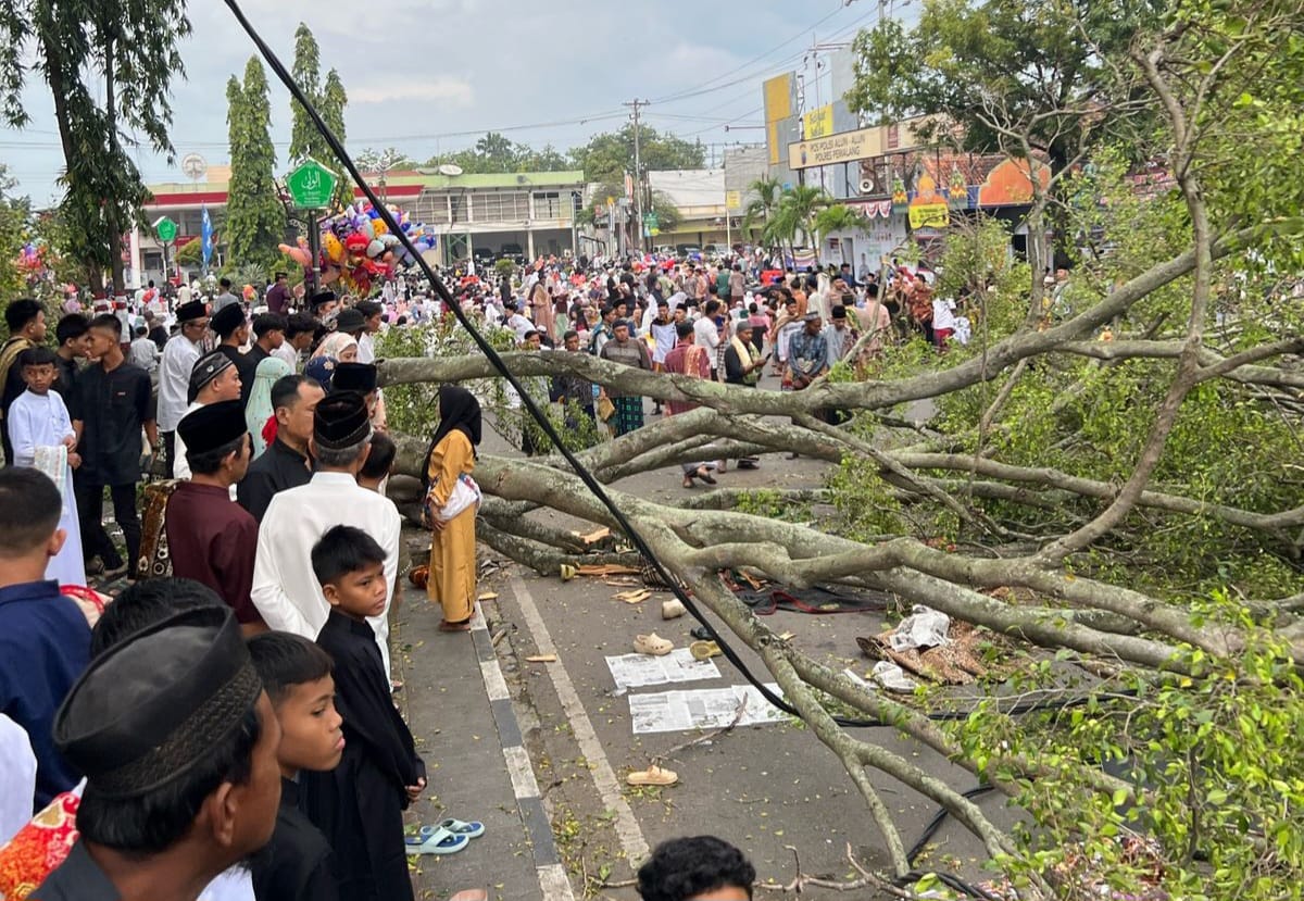 Korban Tewas Tertimpa Pohon Tumbang di Pemalang Bertambah 3 Orang 