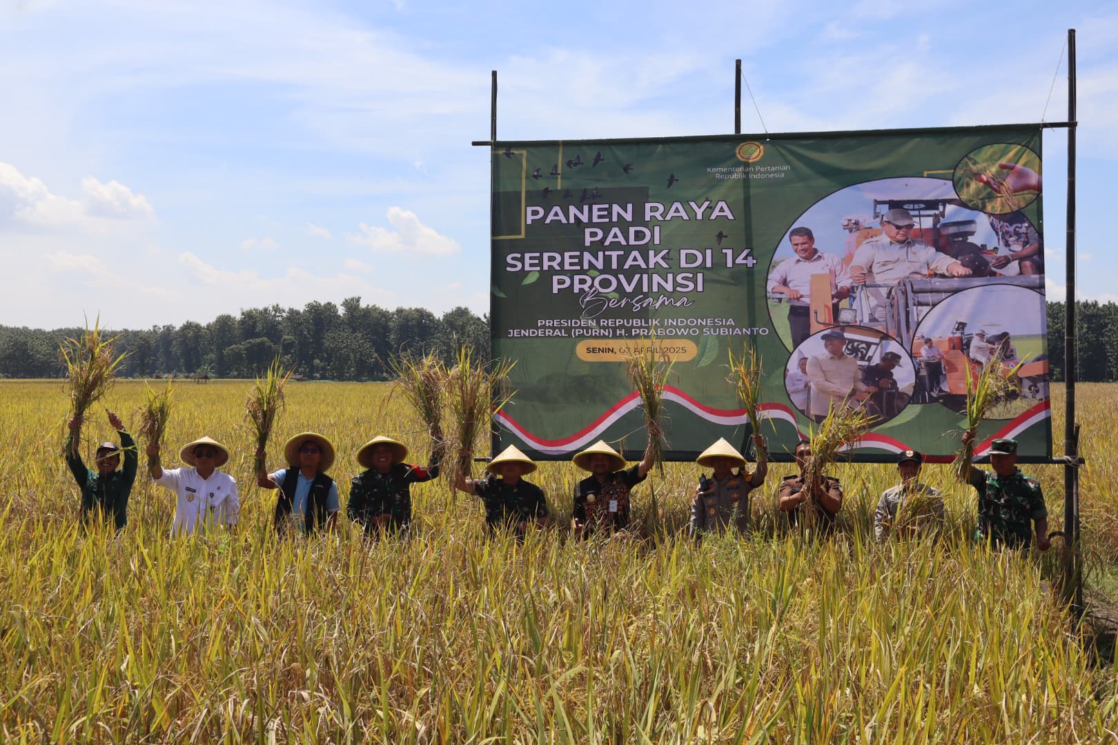 Padi Sinar Mentari Pemalang Jadi Harapan Swasembada Pangan