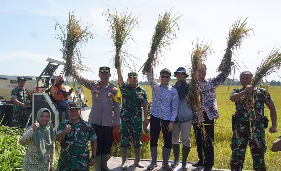 Petani Akan Terima Premi Asuransi Rp 180 Ribu Per Hektare 