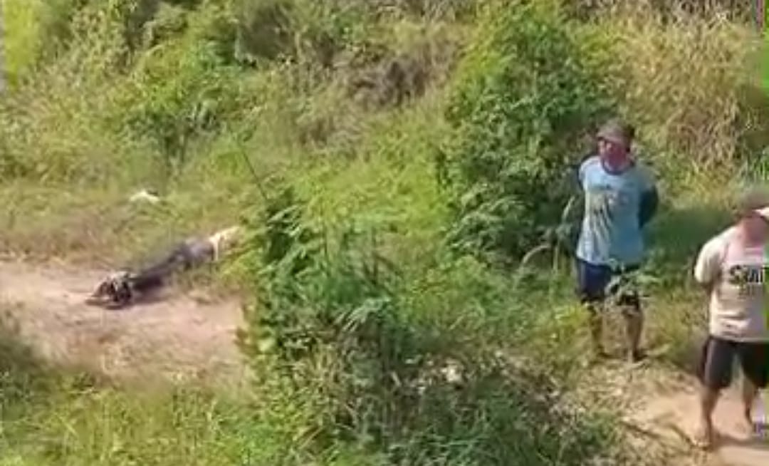 Apes, Niat Begal Motor Pria Ini Malah Babak Belur Dihajar Korbannya