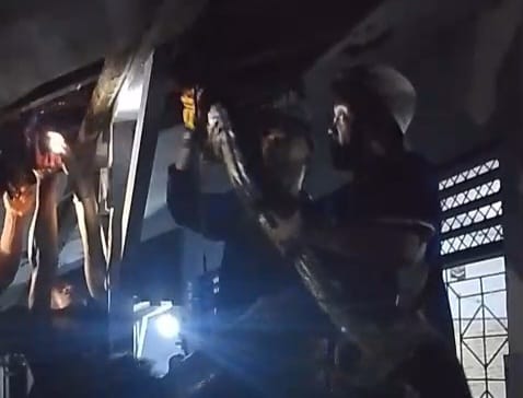 Ngeri, Ular Sanca Raksasa Bersarang di Atap Sekolah