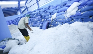 Swasembada Garam Didorong, BUMD Jateng Serap Puluhan Ribu Ton Garam dari Petambak Lokal