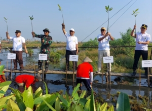 Pemalang Ikut Galakkan “Mageri Segoro”, Tanggulangi Abrasi di Pesisir Ulujami 