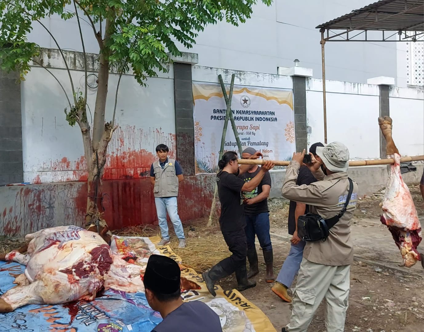 Daging Sapi Kurban Presiden Prabowo di Pemalang Diuji Layak Konsumsi