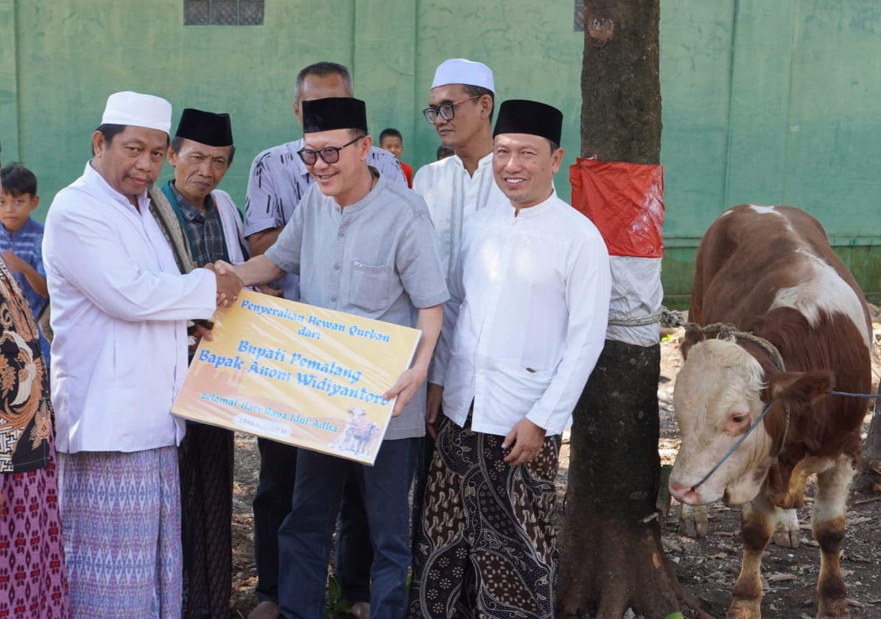 Pemkab Pemalang Bagikan Hewan Kurban ke 14 Kecamatan 