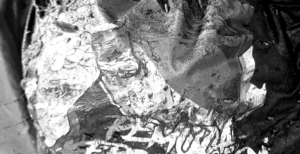 Mayat Tanpa Identitas Ditemukan di Hutan Pegongsoran Pemalang, Begini Ciri-cirinya