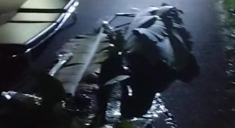 Kecelakaan di Jalan Raya Kluwih Batang, Satu Pengendara Meninggal Dunia