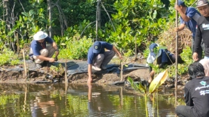 Penanaman Pohon Mangrove di Kota Tegal Atasi Abrasi Pantai