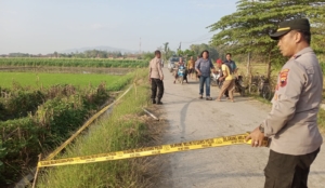 Tawuran Remaja di Brebes, Satu Orang Tewas Ditusuk di Tengah Sawah