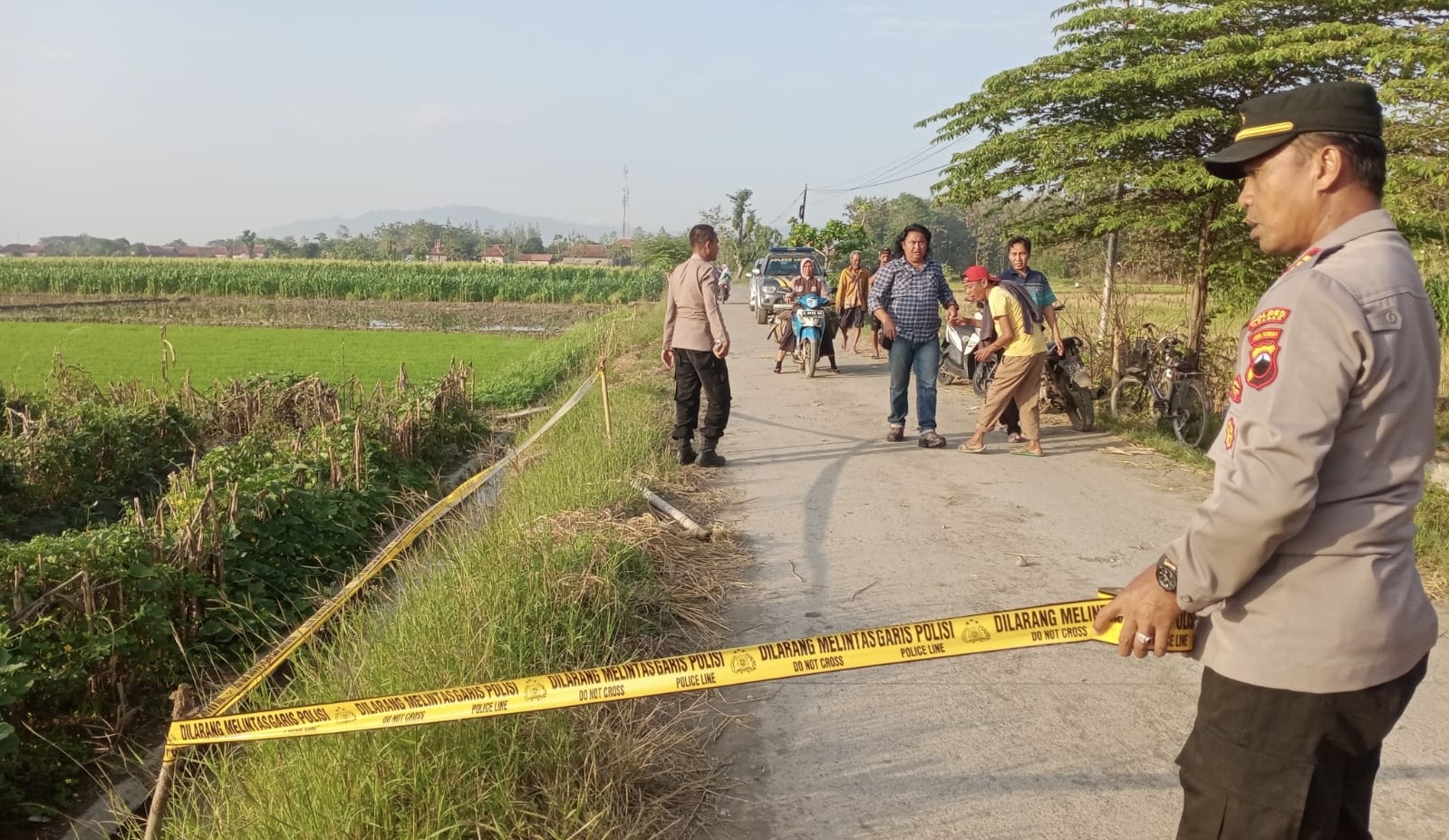 Tawuran Remaja di Brebes, Satu Orang Tewas Ditusuk di Tengah Sawah