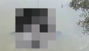 Mayat Mengambang di Sawah Sugihwaras Pemalang, Diduga Akibat Epilepsi Kambuh