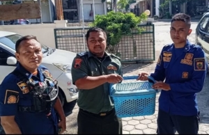 Warga Pemalang Kaget Rumahnya Kemasukan Hewan Langka