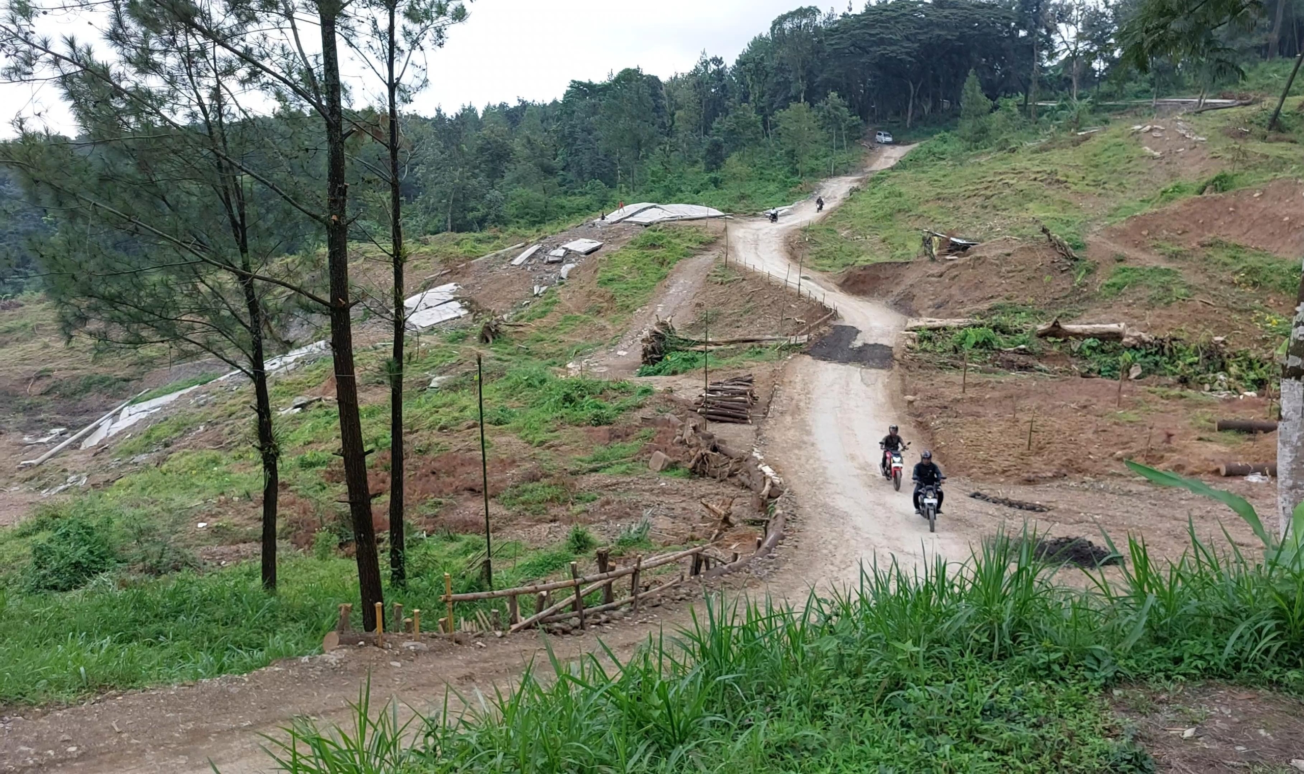 Buka Jalur Baru, Pembangunan Jalan Semingkir-Wisnu Pemalang Tunggu Izin Perhutani