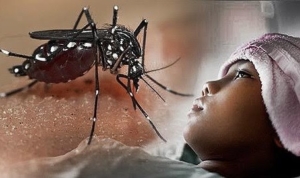 Kasus DBD di Pemalang Tembus 73 Pasien, Didominasi Wilayah Kota