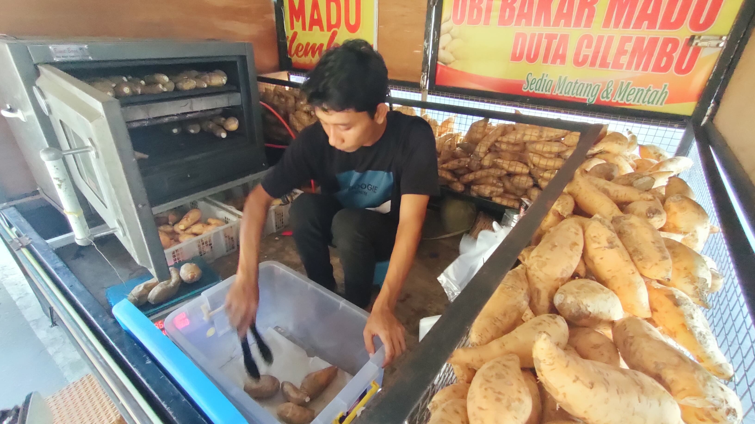 Khasiat Ubi Cilembu dan Lokasi Penjualannya di Kota Tegal