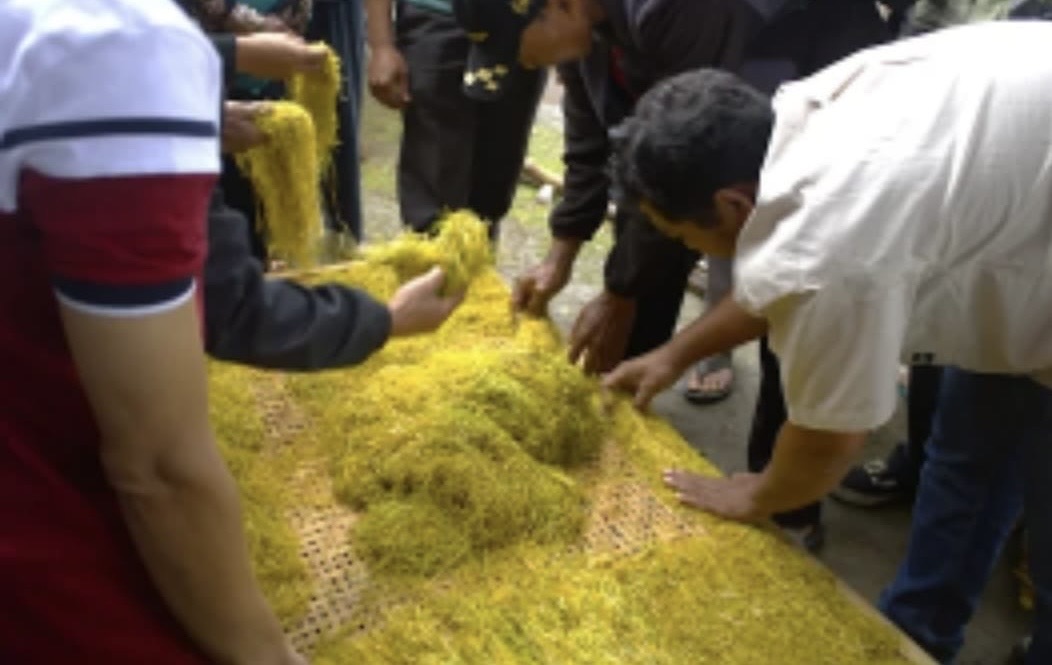 Hasil Menjanjikan, Petani Tegal Lirik Budidaya Tembakau