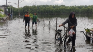 BMKG Beri Peringatan di Wilayah Pesisir Utara, Pasang Tertinggi Bisa Capai 1 Meter pada Minggu 14 September 2025