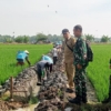 Dandim Pemalang Cek Perbaikan Saluran Irigasi, Pastikan Pekerjaan Tepat Waktu