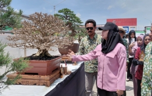 Merawat Alam Lewat Bonsai, Bupati Paramitha: Bisa Datangkan Rezeki