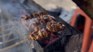 Viral, Sate Gajah Pemalang, Besar dan Empuk