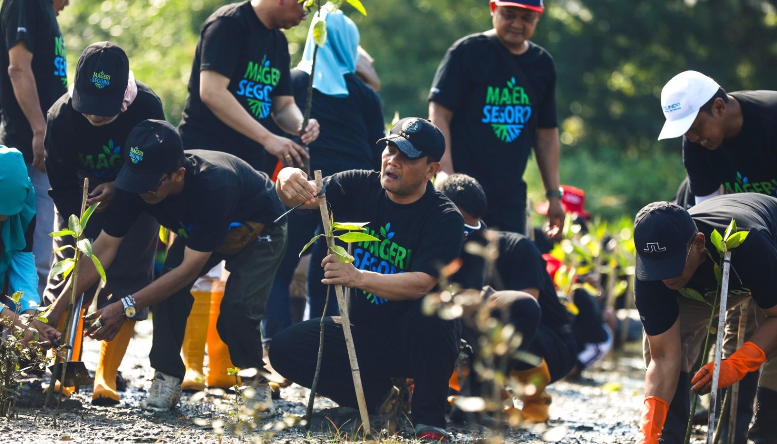 Gubernur Ahmad Luthfi Raih Rekor Dunia MURI, Pimpin Penanaman 1,9 Juta Mangrove Serentak
