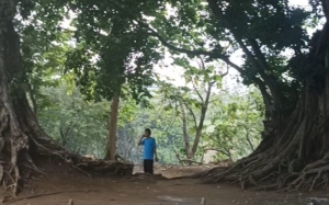 Mbah Judeg, Kisah Pendiri Desa Jatilaba Tegal, Sosok Sakti Pecinta Budaya Ronggeng