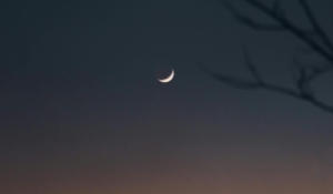 Mengungkap Makna Mendalam di Balik Bentuk Bulan Sabit: Simbolisme dan Pengaruh Budaya