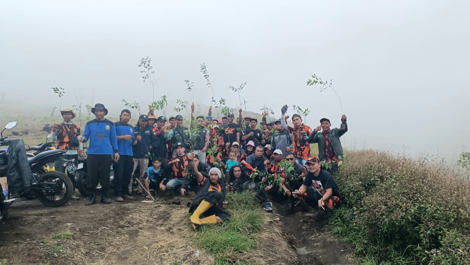 Perhutani KPH Pekalongan Barat Bersama Stakeholder Penyulaman Tanaman di Lereng Gunung Slamet Bagian Barat