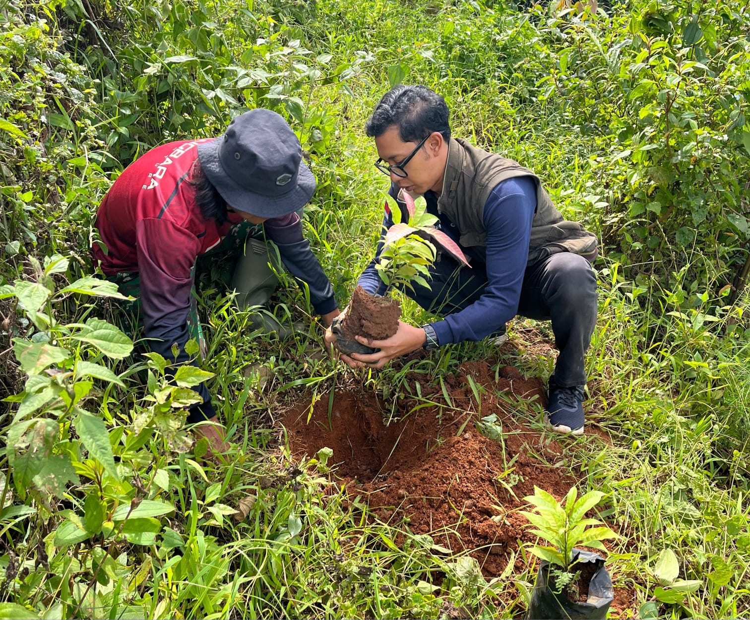 Menanam Pohon Langka di Gunung Lio Salem Brebes