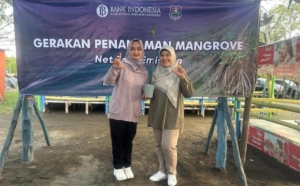 Bank Indonesia Tegal Tanam 1.000 Mangrove di Pantai Pulau Kodok, Ini Tujuannya