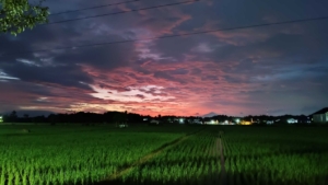 TIPS dan Trik Foto Pemandangan Menakjubkan, Ini 15 Langkah yang Harus Dilakukan