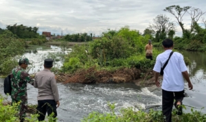 Tanggul Sungai Silempeng Jebol, Sawah di Dua Desa Pekalongan Terendam