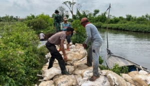 Tanggul Sungai Silempeng Pekalongan Jebol, Warga TNI POLRI, Kerja Bakti Perbaikan
