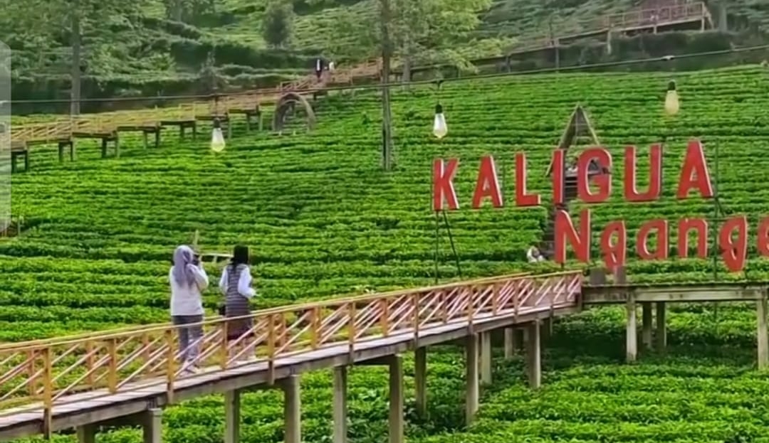 Seru dan Hemat Budget : 5 Tempat Wisata di Brebes Selatan untuk Liburan Natal 2025 dan Tahun Baru 2026