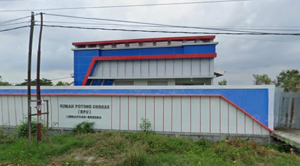 Ismu Subroto: Rumah Potong Unggas Brebes Bukan Sekadar Retribusi, Tapi Investasi Jangka Panjang