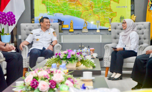 Stok Beras Aman hingga 2026, Bulog Diminta Prioritaskan Serapan Petani Lokal