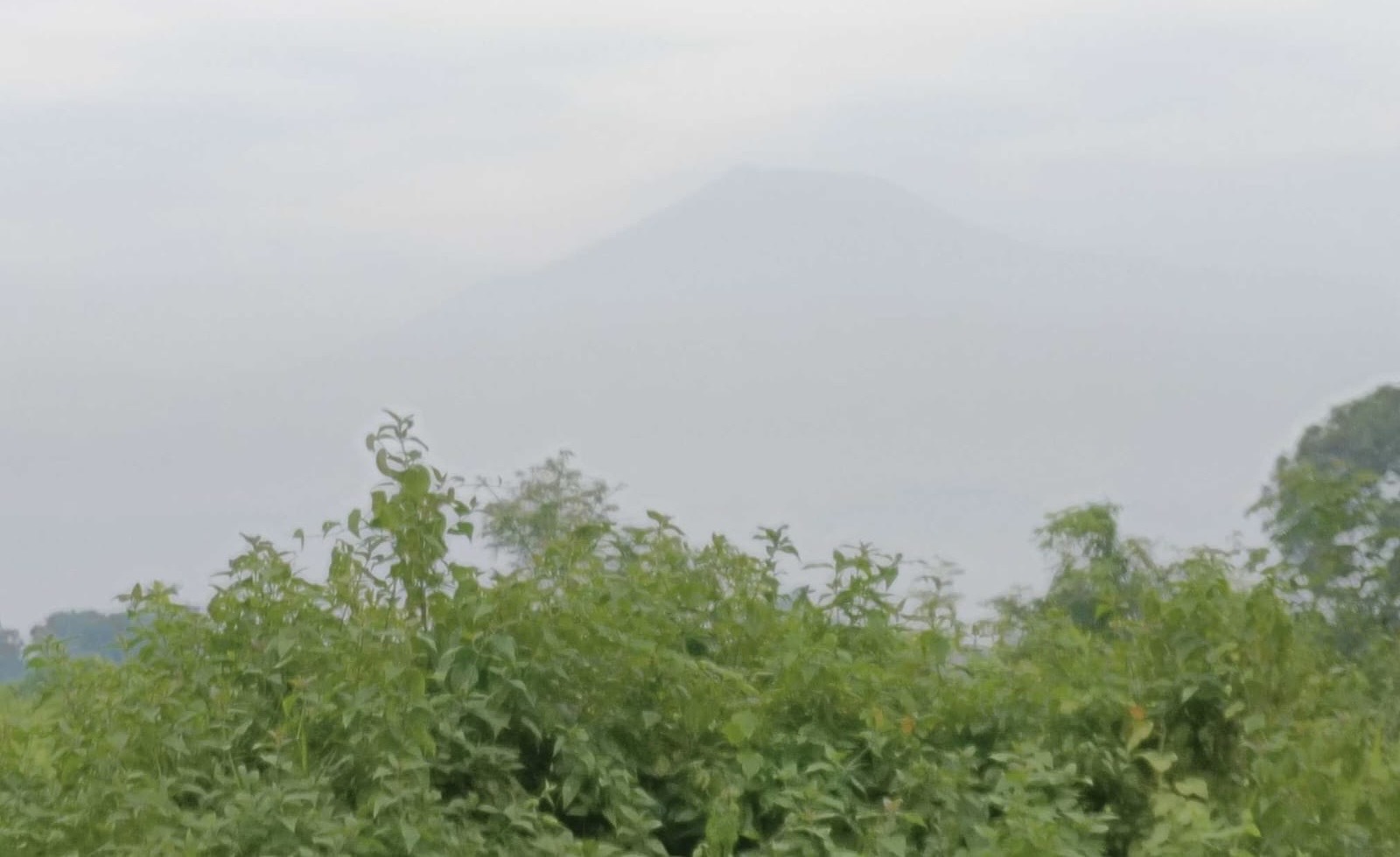 Update Gunungapi di Indonesia Hari Ini, Gunung Slamet 4 Kali Bergejolak Sejak 15 Tahun Terakhir