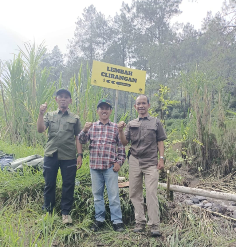 Perhutani : Kondisi Hutan di Hulu Sungai Gung Baik, Pinus Rapat