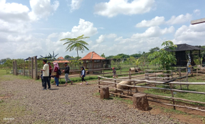 Yuk, Berlibur di Sabin Garden Kambangan Tegal, Ada Taman Satwa