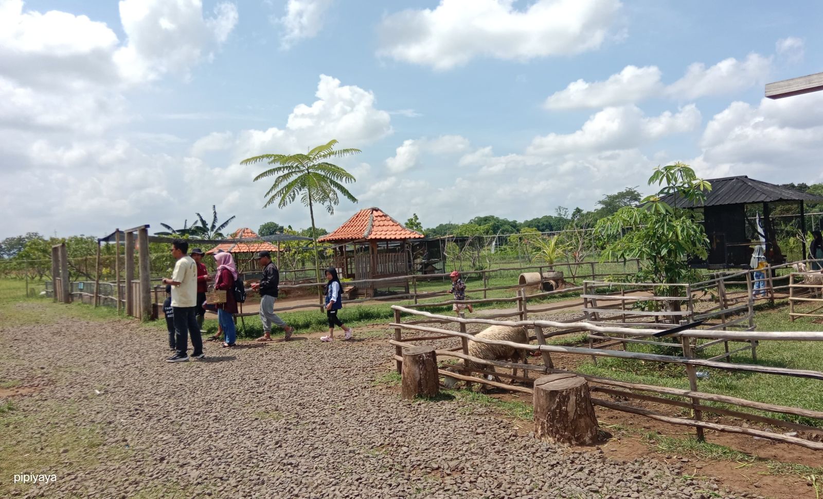 Yuk, Berlibur di Sabin Garden Kambangan Tegal, Ada Taman Satwa