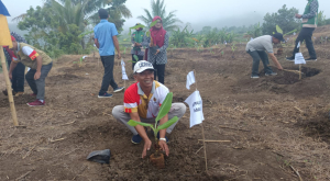 BUMDes Manggis Manis Sirampog Sulap Lahan Bengkok Jadi Kebun Pisang 1.000 Pohon