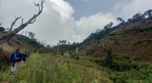 Asal Usul Gunung Slamet, Legenda Hingga Kerusakan Alam