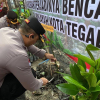 Polres Tegal Kota Tanam Ribuan Mangrove di Kawasan Kajongan