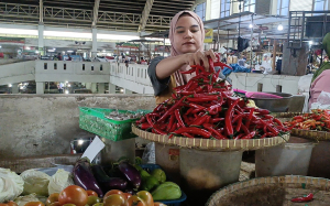 Kenaikan Harga Kepokmas Terjadi Hingga Awal Tahun 2026