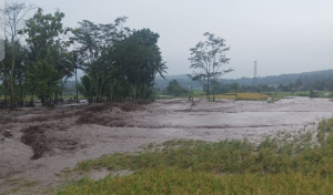Tanggul Sungai Keruh Bumiayu Rusak, Sawah Terancam Banjir