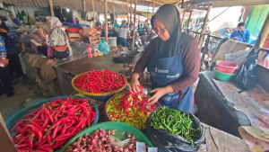 Harga Cabai di Pasar Pagi Tegal Lagi Murah Meriah