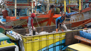 Ikan Diusulkan Jadi Menu MBG, Kota Tegal Siap Jadi Pilot Project